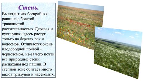 Презентация по окружающему миру "Природные зоны России".