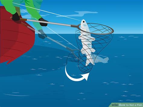 Fish Net Tips and Tricks 的图像结果