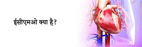 ईसीएमओ क्या है? | What is ECMO in Hindi