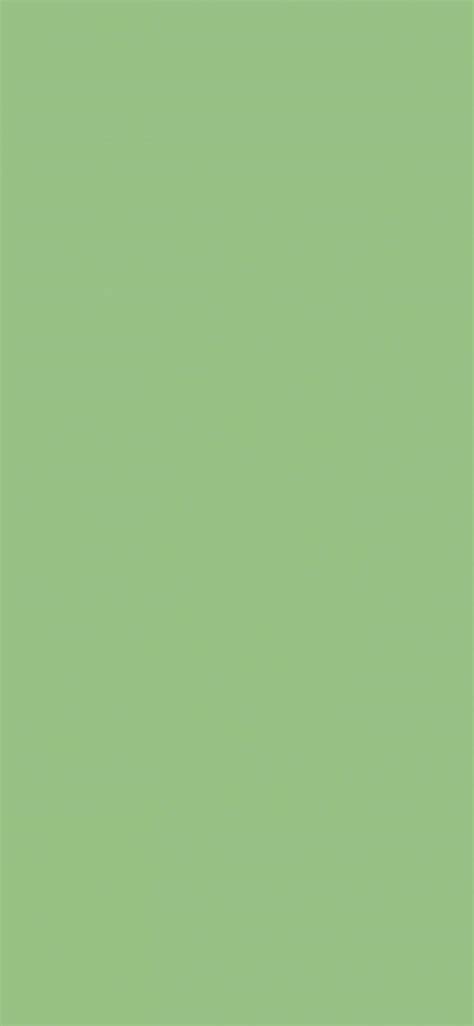 Matcha Green Wallpapers - Top Free Matcha Green Backgrounds ...
