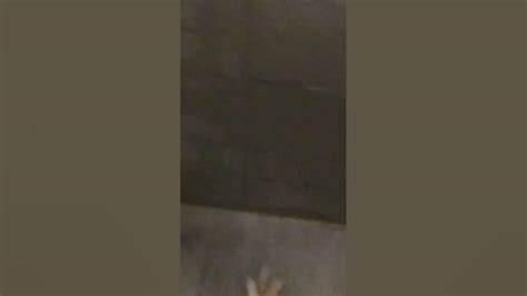 Image result for HowToBasic YTP