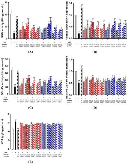 Insight into Seasonal Change of Phytochemicals, Antioxidant, and Anti ...