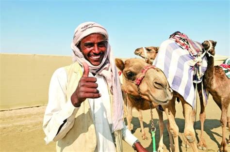 卡塔尔游客多到骆驼加班|沙漠_新浪新闻