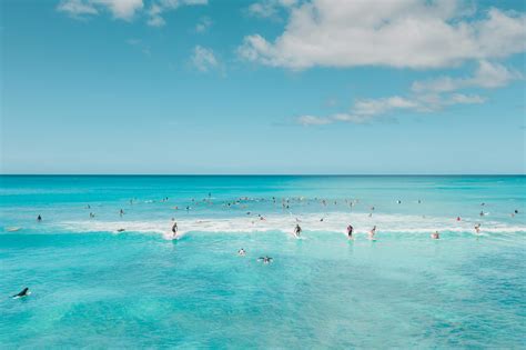 Swim 的图像结果