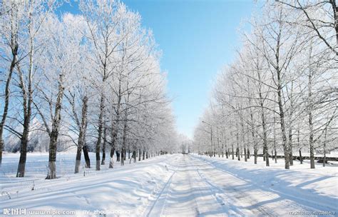 冬季雪景高清图片摄影图__自然风景_自然景观_摄影图库_昵图网nipic.com