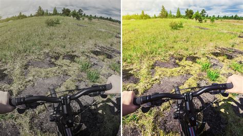 Image result for Adobe Elements 18 Tutorial