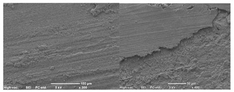 Mechanical and Tribological Performance of Epoxy Composites Reinforced ...