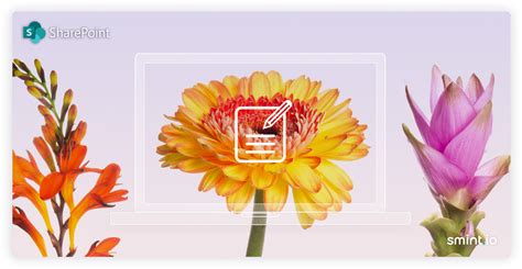 Image result for SharePoint Branding Examples