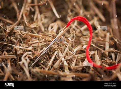 Image result for How to Thread A Darning Needle