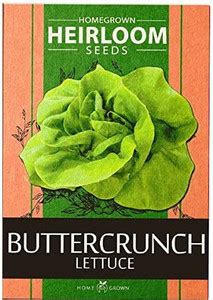 VibeX ® VMR-105 Buttercrunch Lettuce Seed Price in India - Buy VibeX ...