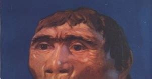 Image result for Java Man Found