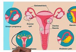 Image result for periods