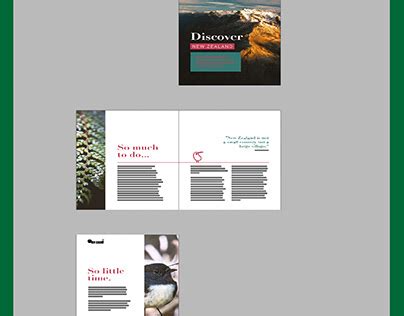 Image result for Brochure InDesign Tutorial