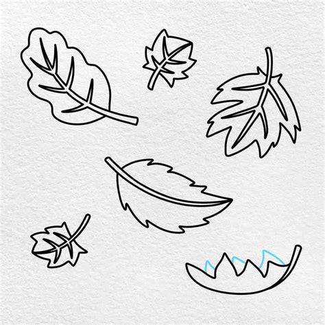 Image result for Fall Leaves Drawing