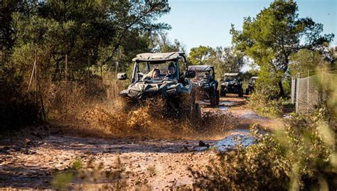 Tour en buggy por Sant Jordi y Randa, Palma - Central de Reservas