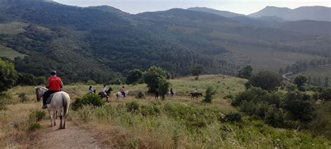 Zurrica, 3 hours - SicilyHorseTours