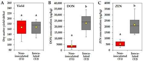 Efficacy of Different Fungicide Spraying Techniques on the Infestation ...