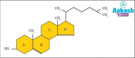 Cholesterol: Structure, Types, Healthy Levels, Complications ...
