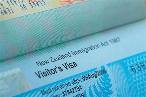 新西兰电子签证要哪些材料_旅泊网