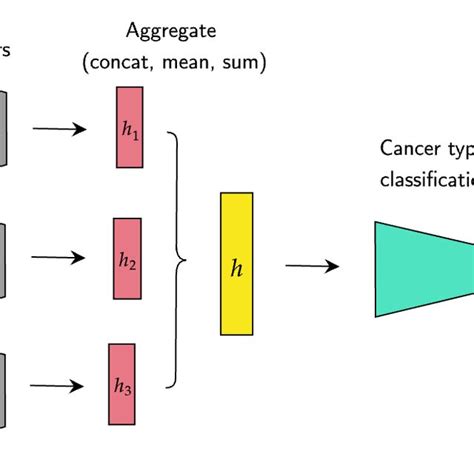 What Is Downcoding 的图像结果