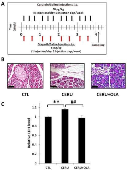 IJMS | Special Issue : Epigenetic Mechanisms and Human Pathology