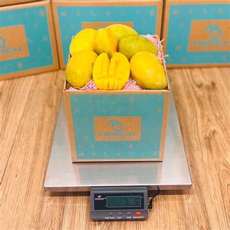 Mango Box 的图像结果