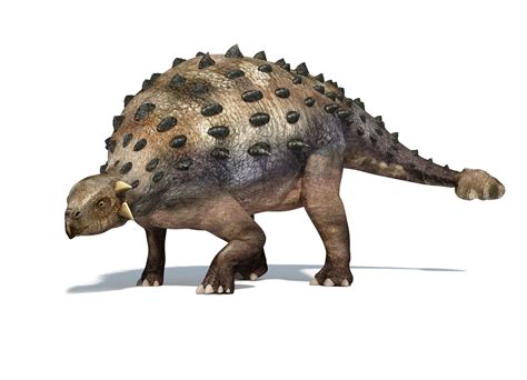 10 Important Dinosaurs From Australia and Antarctica
