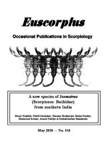 A new species of Isometrus (Scorpiones Buthidae) from southern India ...