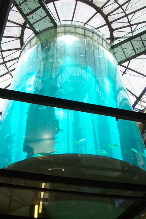 Aquarium DIY Tree Stump 的图像结果