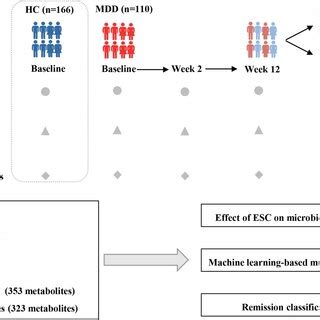 Image result for Work Study Programm Diagram
