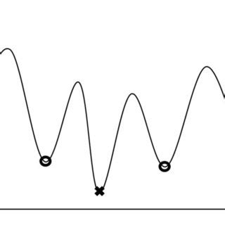 Local Optima 的图像结果
