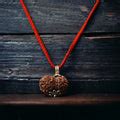 11 Mukhi Nepali Rudraksha - Gyaarah Mukhi – Japam