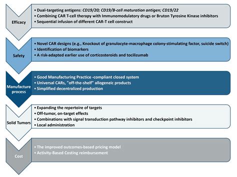 Chimeric Antigen Receptor T-Cell Therapy: What We Expect Soon