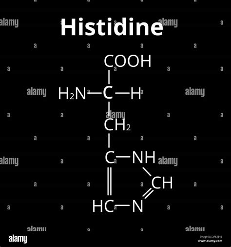 Amino Acid Histidine Structure at Jack Radecki blog