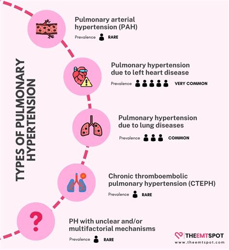 Pulmonary Hypertension (PH): Types, Causes, Symptoms, Diagnosis, And Treatment | TheEMTSpot