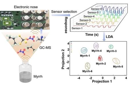 Improved Recognition Accuracy of Myrrh Decoction Pieces by Electronic ...
