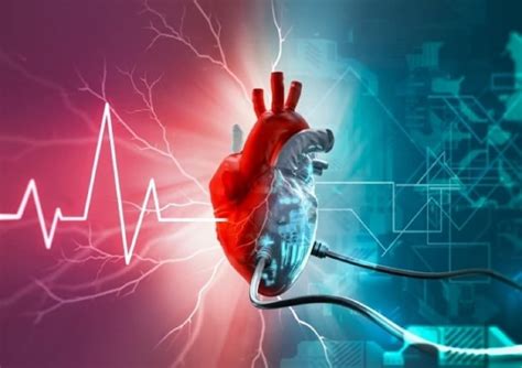 Image result for Cardiac Check Up