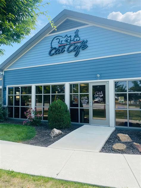 Cat Cafe | Kokomo Humane Society