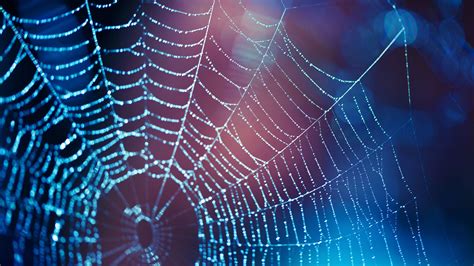 Computer Password Hacks 的图像结果