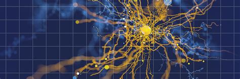 Image result for Machine Vision and Deep Learning Algorithms