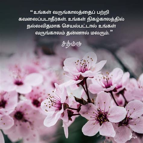The Ultimate Collection of Over 999 Motivational Images in Tamil - Stunning 4K Quality