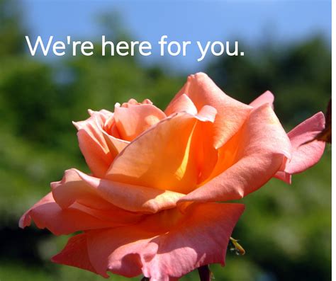 Moran & Goebel Funeral Home | Decatur County IN