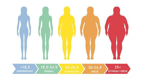 Body Fat Percentage Body Types at Ava Ewers blog