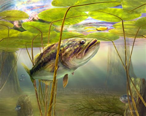 Largemouth bass – Artofit