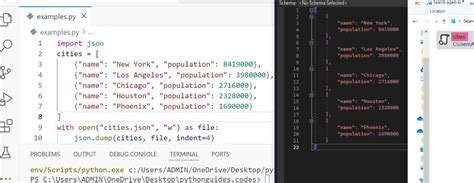 How to Write Array in Python 的图像结果