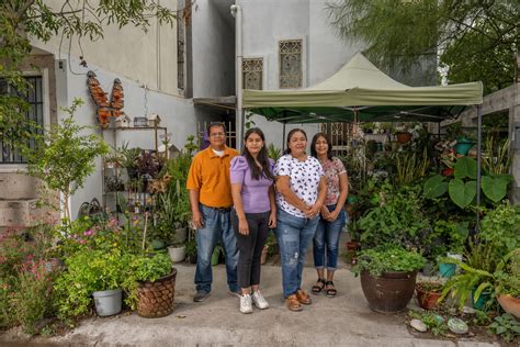 Anyone can help monarch butterflies. All you need is a yard. | National Geographic