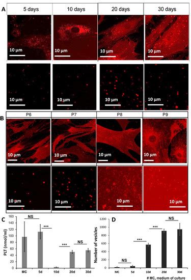 Morphological and Mechanical Characterization of Extracellular Vesicles ...