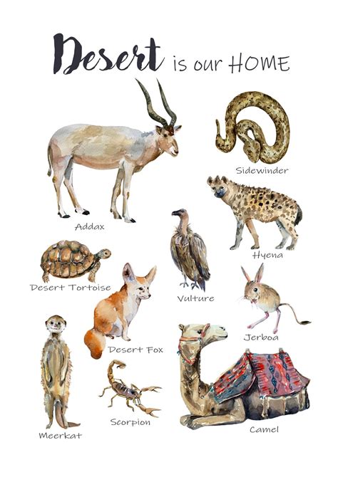 Desert Habitat Animal Free Printable - Free Printable US