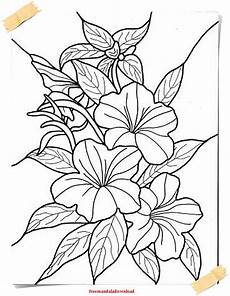 blumen ausmalbilder erwachsene malvorlagen f 252 r erwachsene blumen und pflanzen flowers blumen ausmalbilder erwachsene malvorlagen f 252 r erwachsene blumen und pflanzen flowers