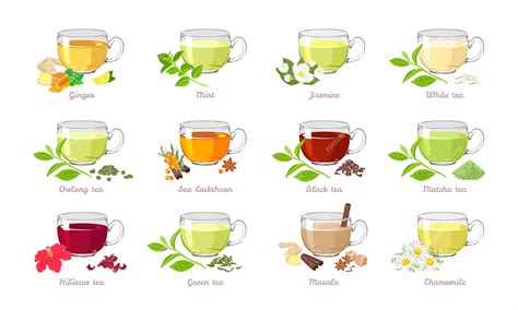 Premium Vector | Collection of tea of different types.